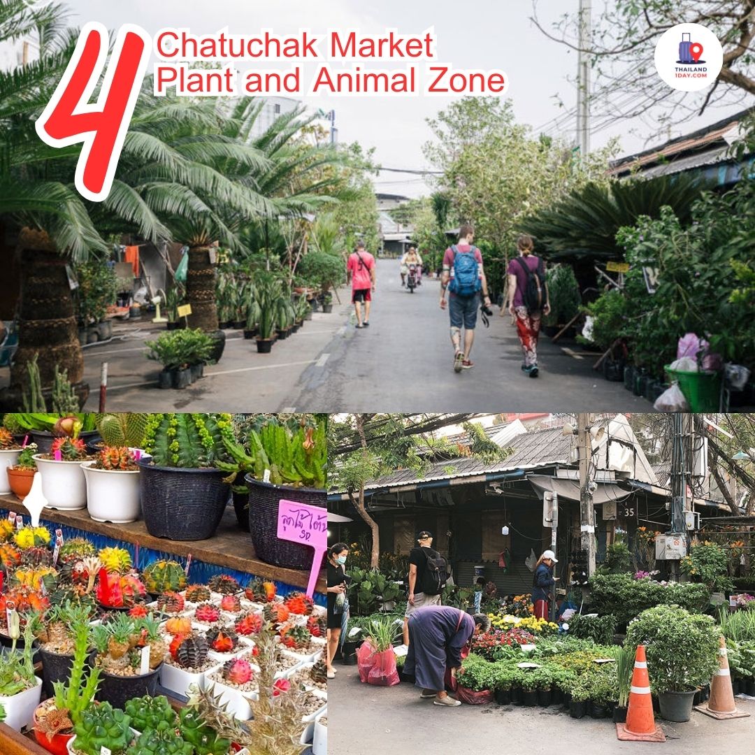 Chatuchak is one of Asia’s biggest open-air markets